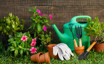 Cum să îți cureți și întreții uneltele de grădinărit pentru a le păstra funcționale și sigure