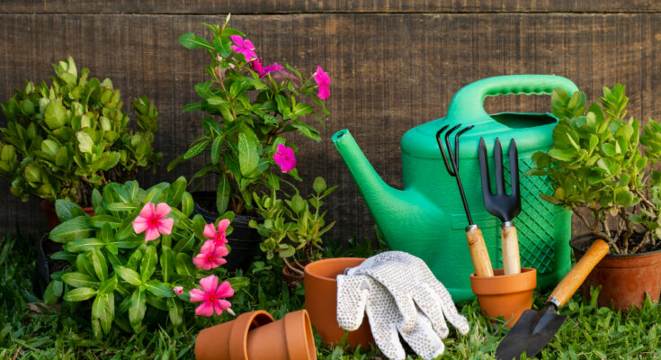 Cum să îți cureți și întreții uneltele de grădinărit pentru a le păstra funcționale și sigure